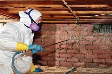 Seven Weird Things that Happen When You Have Mold in Your Crawl Space -  Crawl Pros
